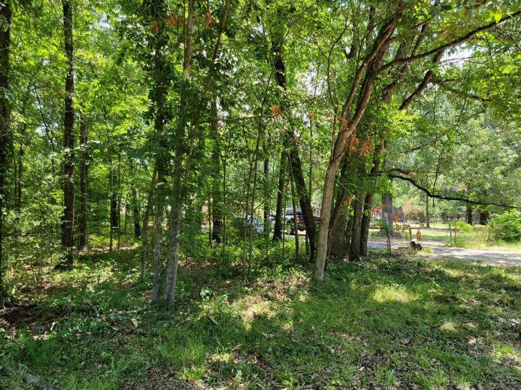 TBD Myrtle Mae Drive - Photo 1