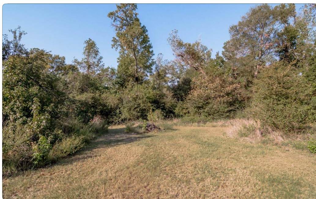 3661 State Highway 19 - Photo 1