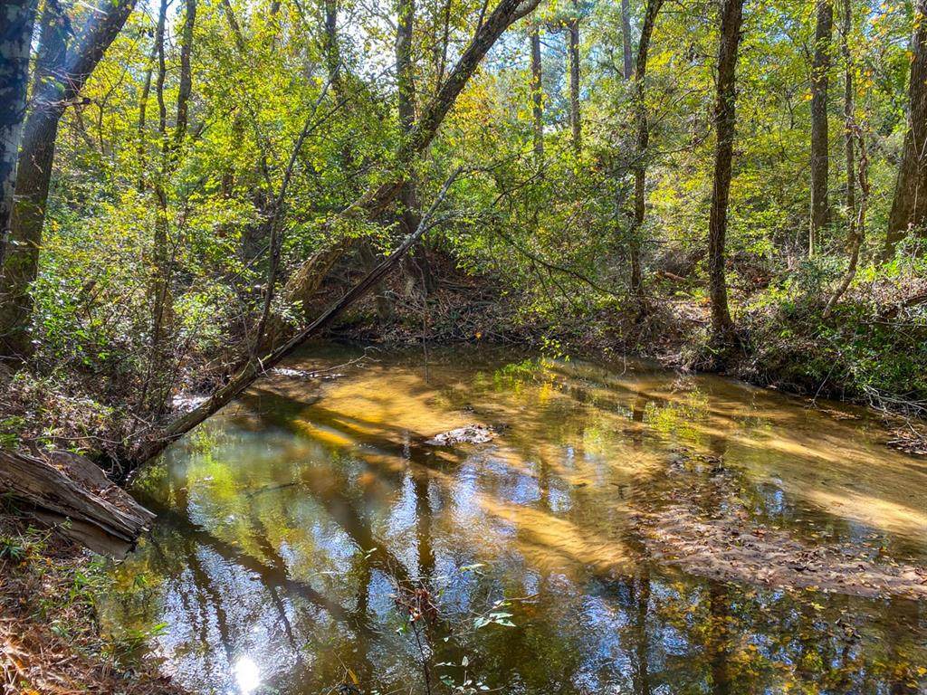 00 Lake Pool Road - Photo 1