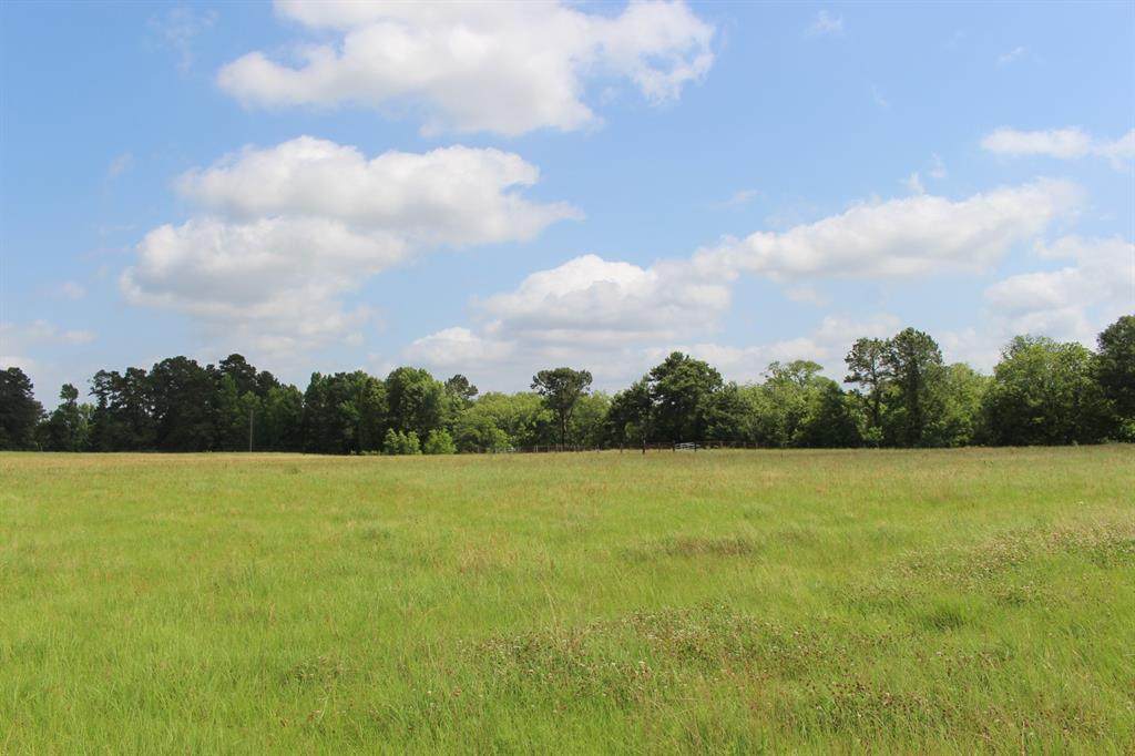 tbd Amberwood Drive - Photo 1