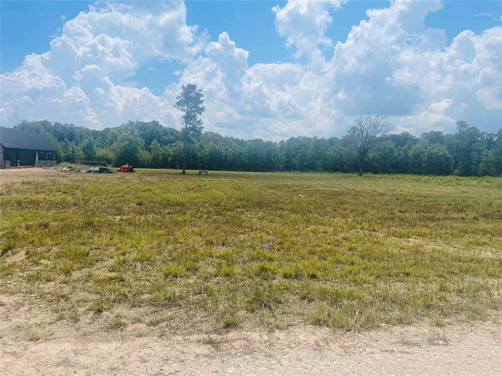 TBD Lot 3 Brushy Creek - Photo 1