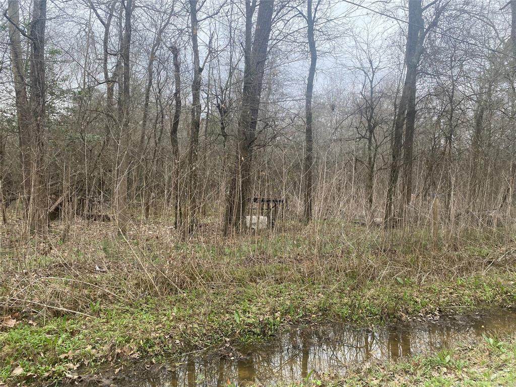 00 Gourd Creek - Photo 1