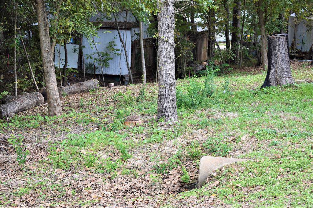 11756A White Cedar Street - Photo 1