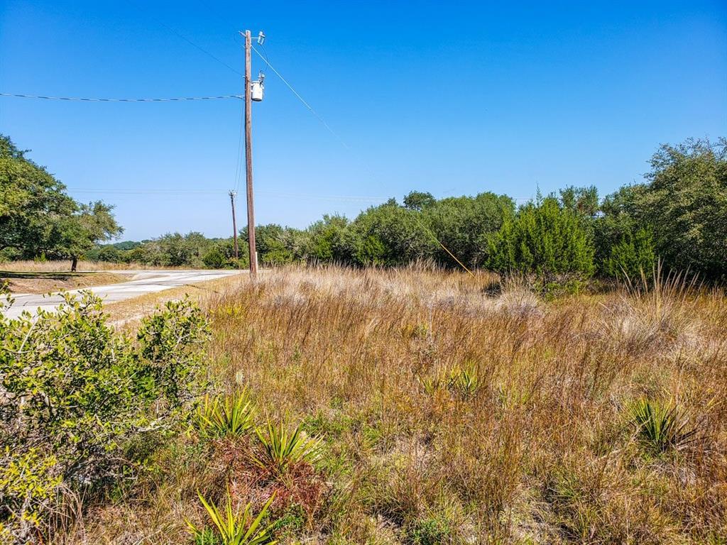 Lot 398 Manuel Herrera - Photo 1