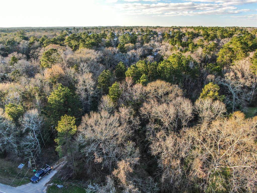 13817 E Fm 1097 Rd - Photo 1 13817 E Fm 1097 Rd - Photo 1