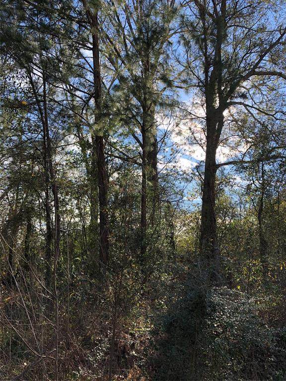 Lot 692 Martinez Street - Photo 1