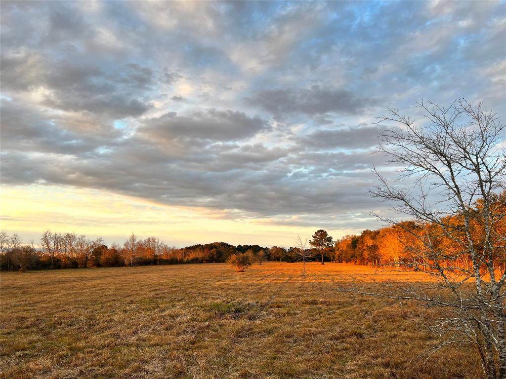 426 Standley Road - Photo 1