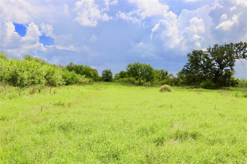 10666 County Road 743 - Photo 1