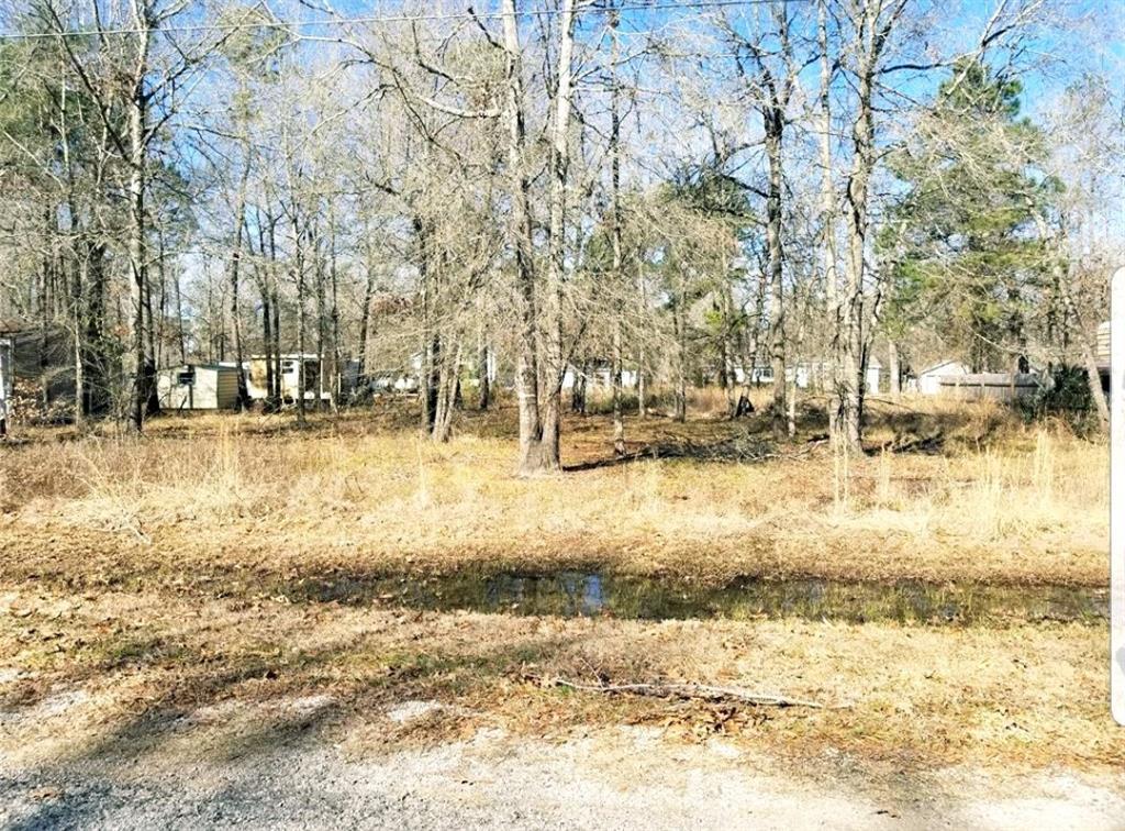 0 St Croix Drive - Photo 1