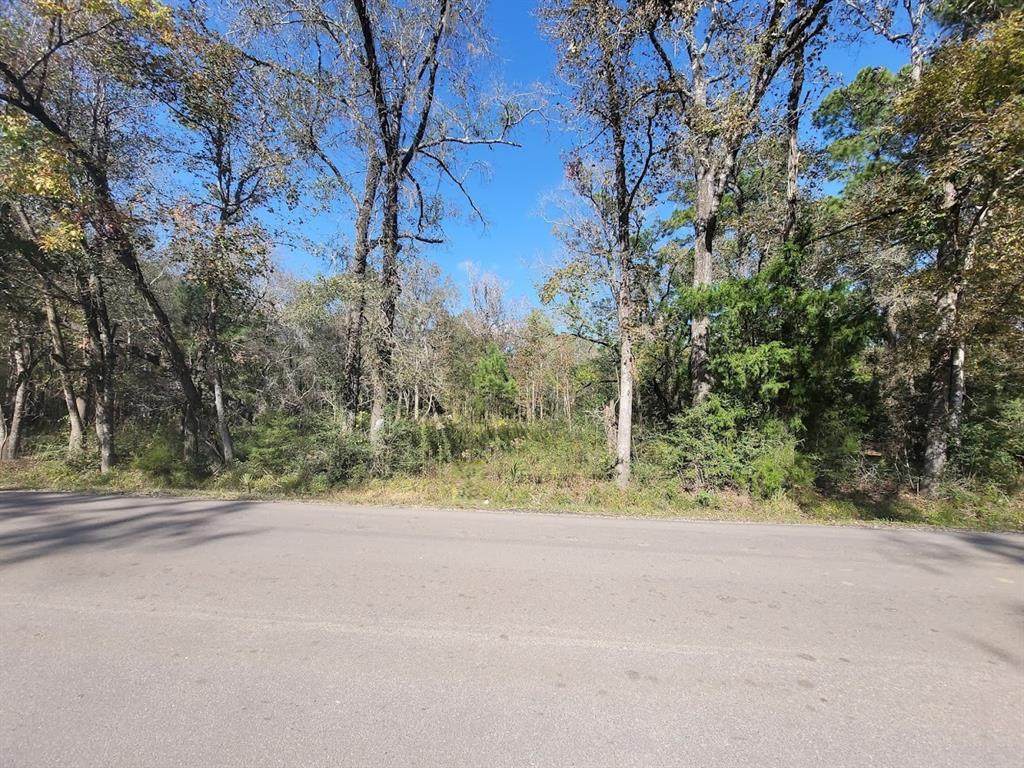823 County Road 401 - Photo 1