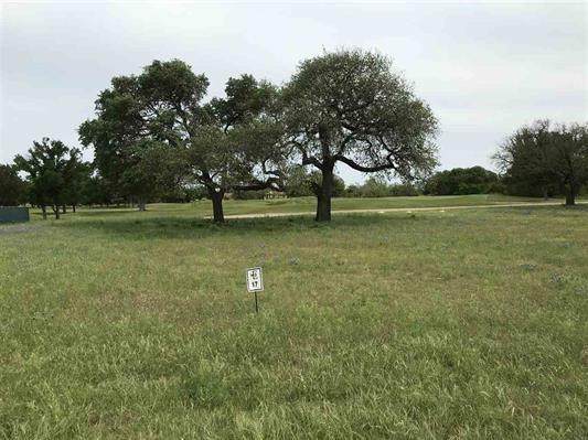 Lot 17 La Serena Loop - Photo 1