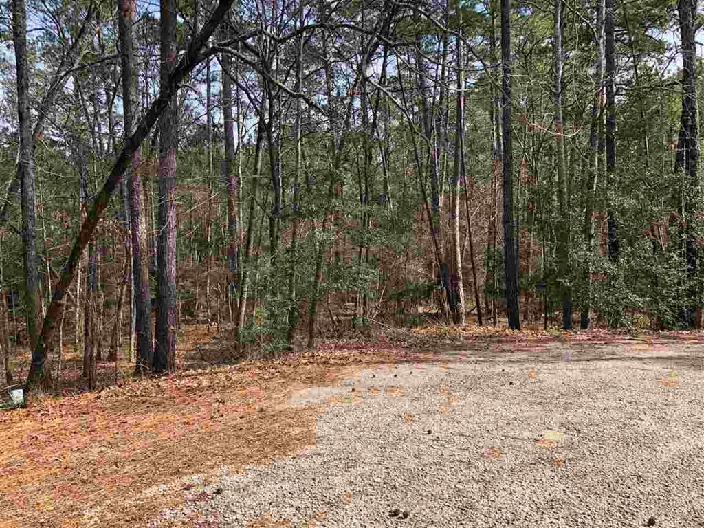 000 Bogey Lane - Photo 1