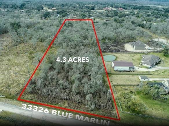 33326 Blue Marlin Drive - Photo 1