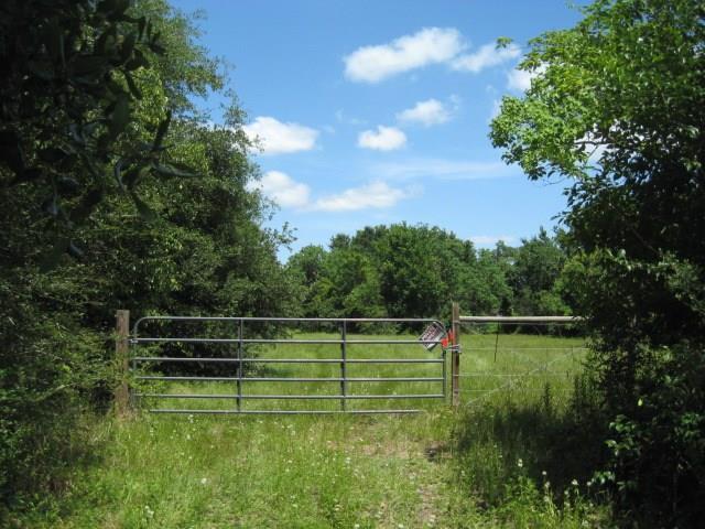 3733 Soho Drive - Photo 1