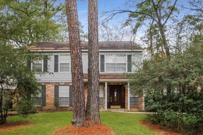 173 Maple Branch Street - Photo 1
