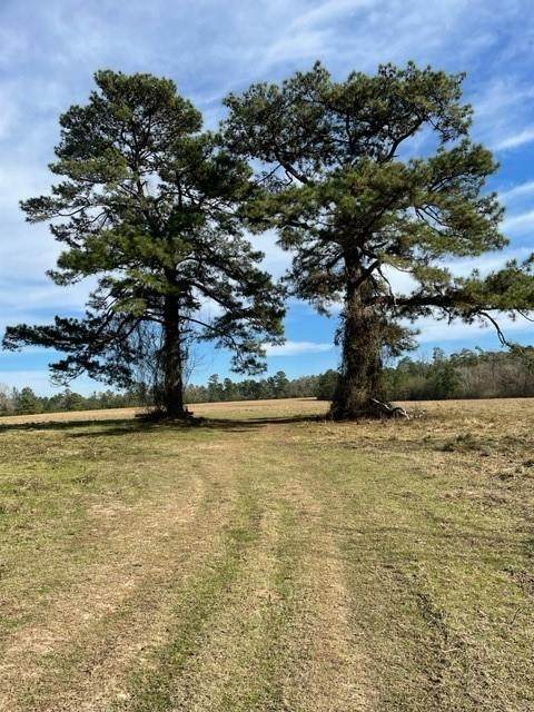 000 Castlewood Road - Photo 1