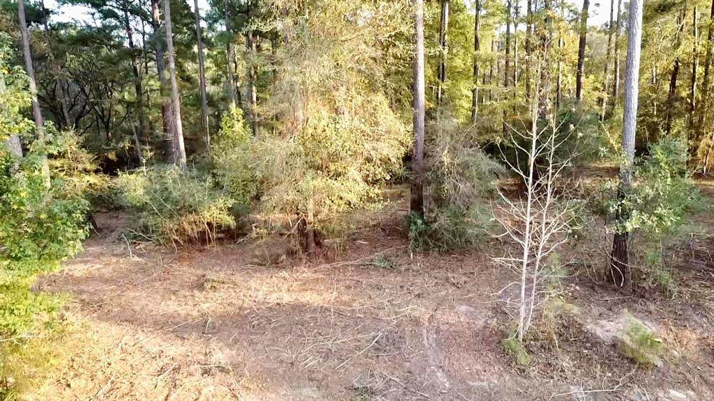 470 Pine Forest Acres Drive - Photo 1