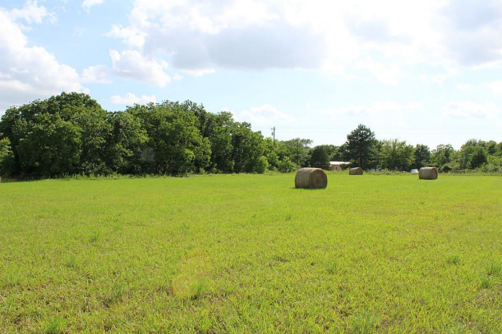 20540 Cochran Fm 1098 - Photo 1