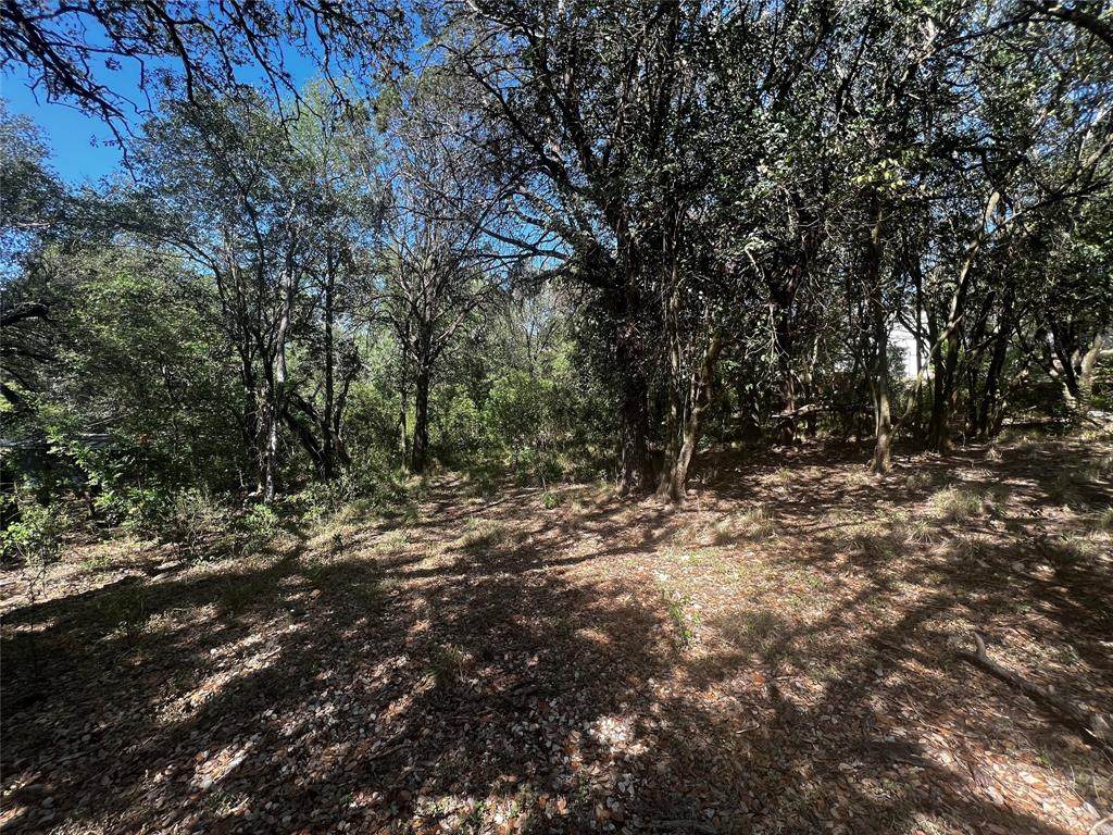 1051 Madeline Street - Photo 1