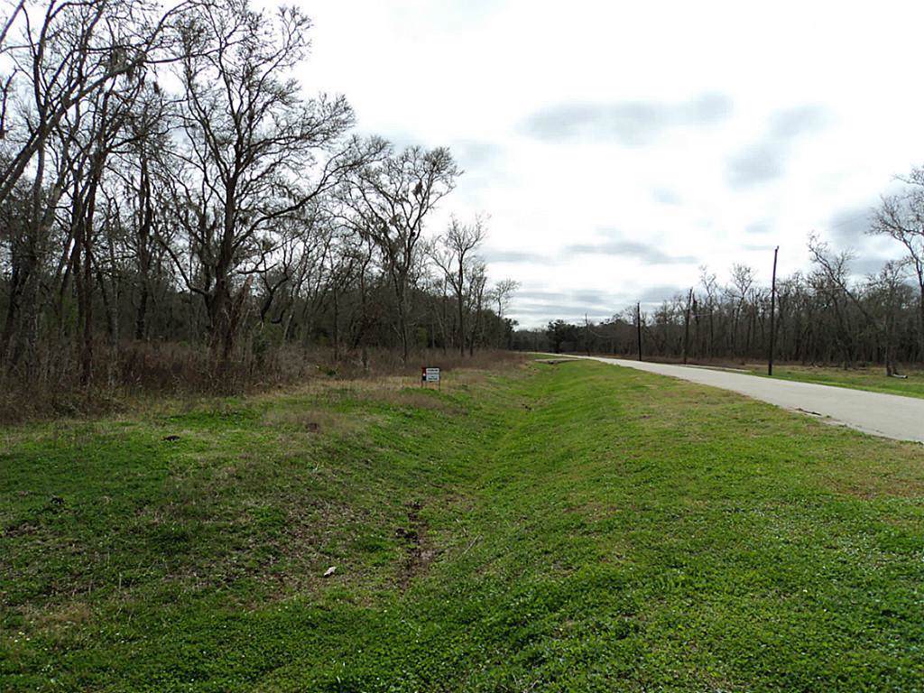33419 Blue Marlin Drive - Photo 1
