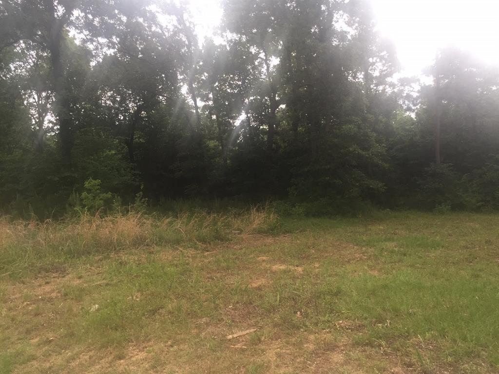 221 Leaning Oak Drive - Photo 1