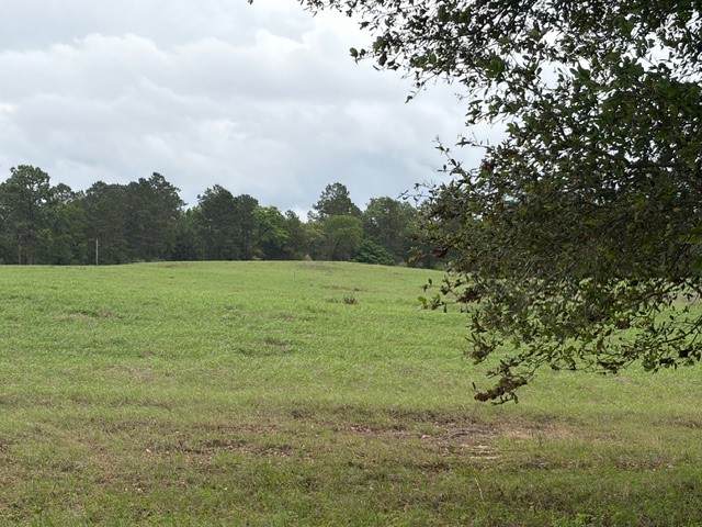 Lot 251 Lakeland Ranch - Photo 1