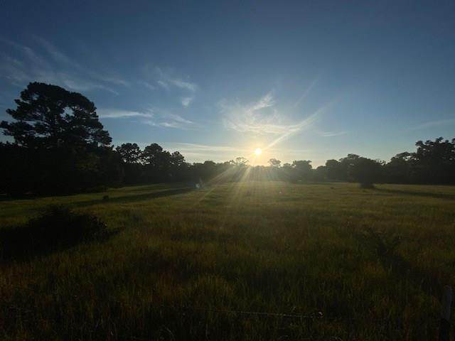 Tract 1 Cedar Lane Loop - Photo 1