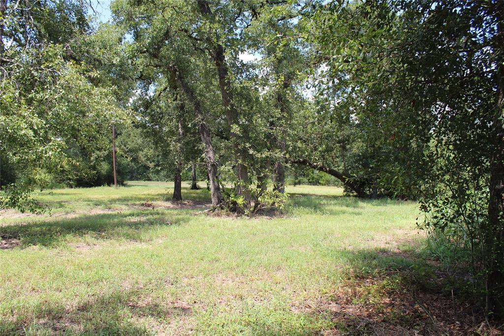 9511 Puddin Lane - Photo 1