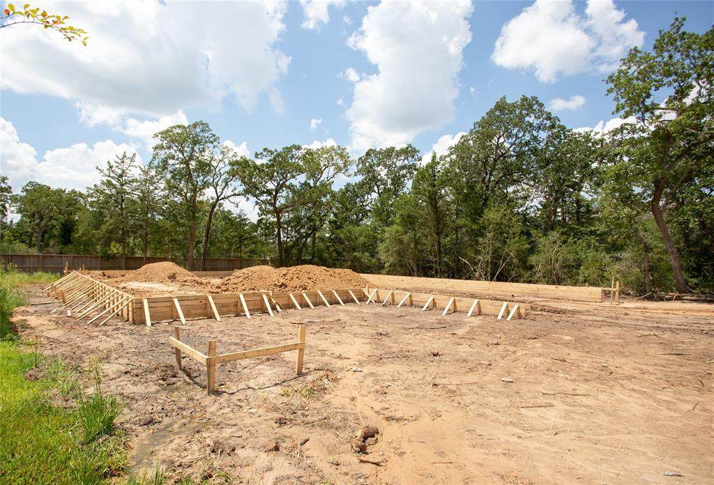 1735 Blanco Bend Drive - Photo 1