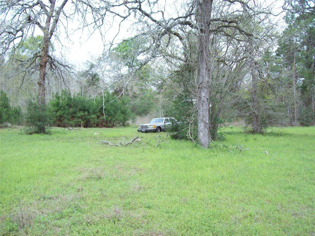 16924 Azalea Lane - Photo 1