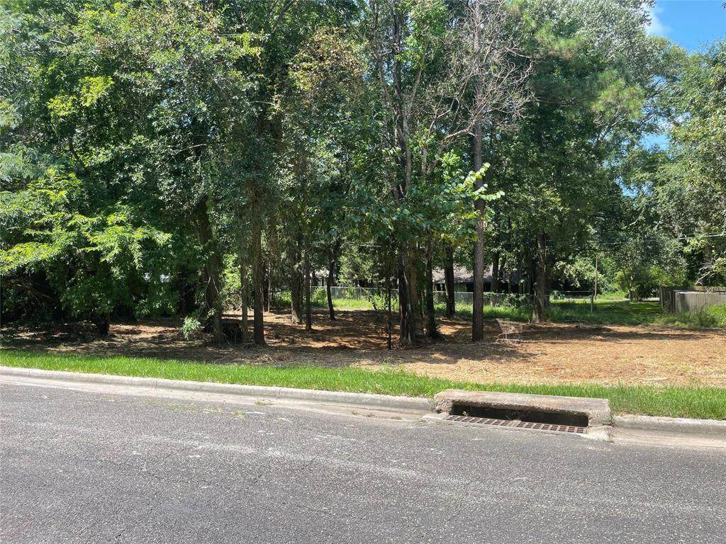 Lot 21 Brinwood - Photo 1