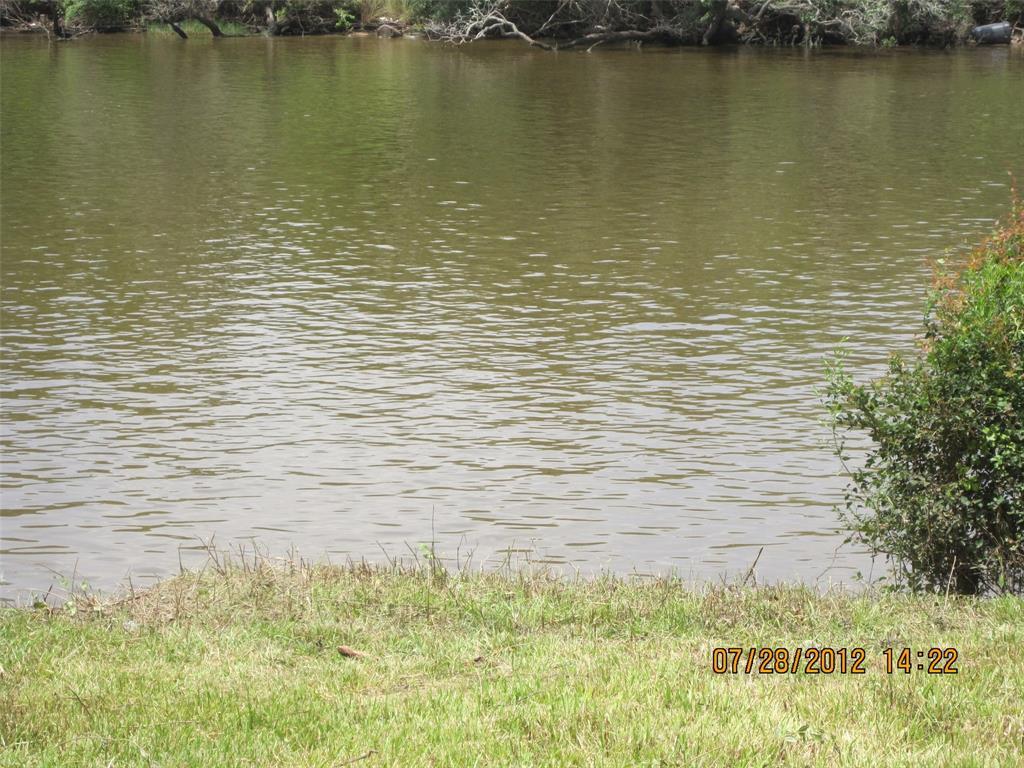 31442 Bayou Bnd - Photo 1