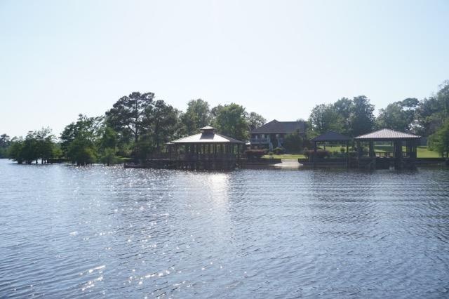 200 Chinaberry Lane Lane - Photo 1
