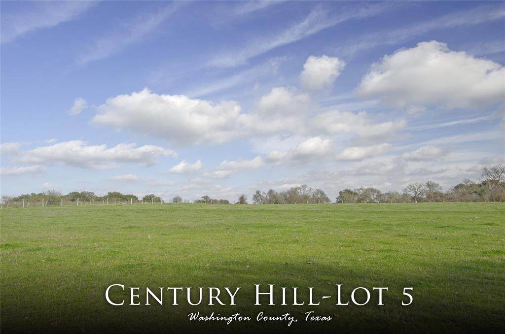 Lot 5 Old Independence Road - Photo 1