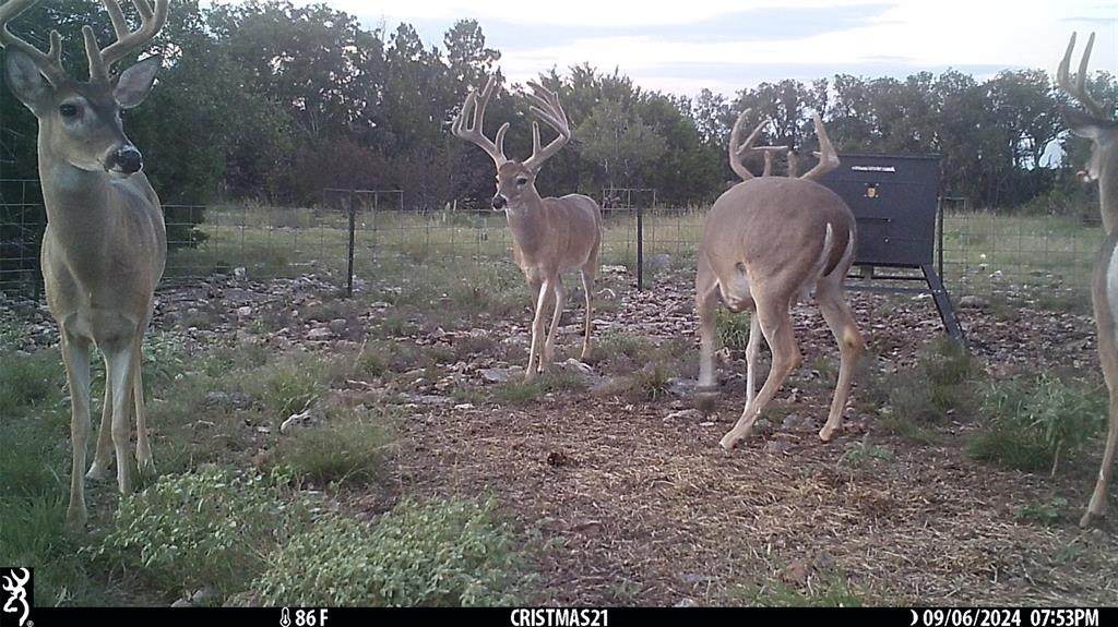 Lot 15 Contrary Creek Ranches - Photo 1