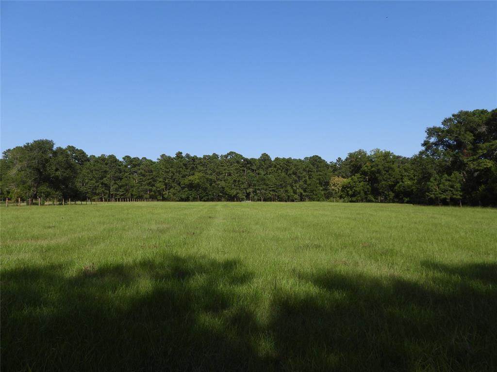 18855 Tbd 2 Bethel Road - Photo 1