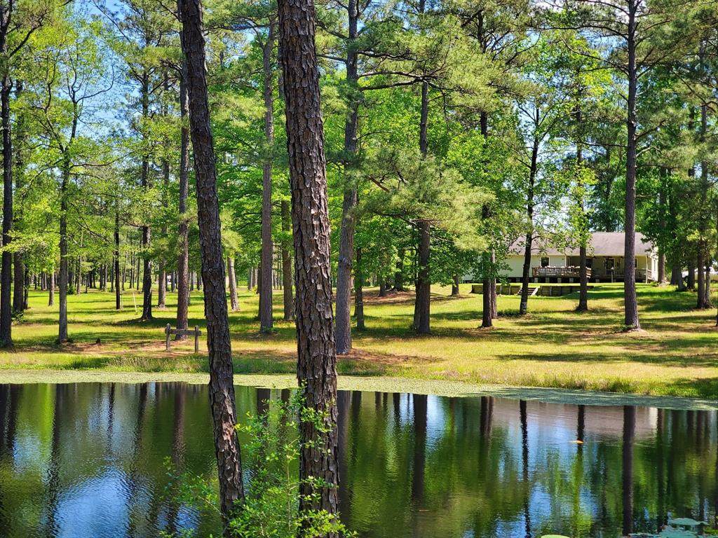 2960 County Road 2650 - Photo 1