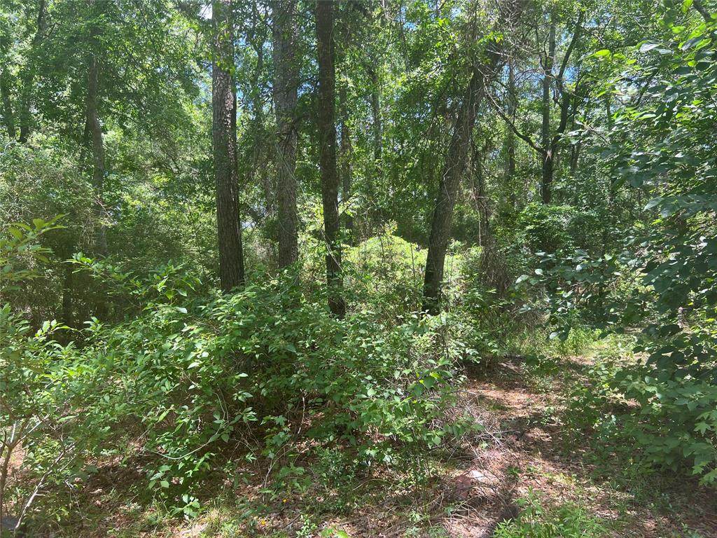 24505 Country Oaks Boulevard - Photo 1
