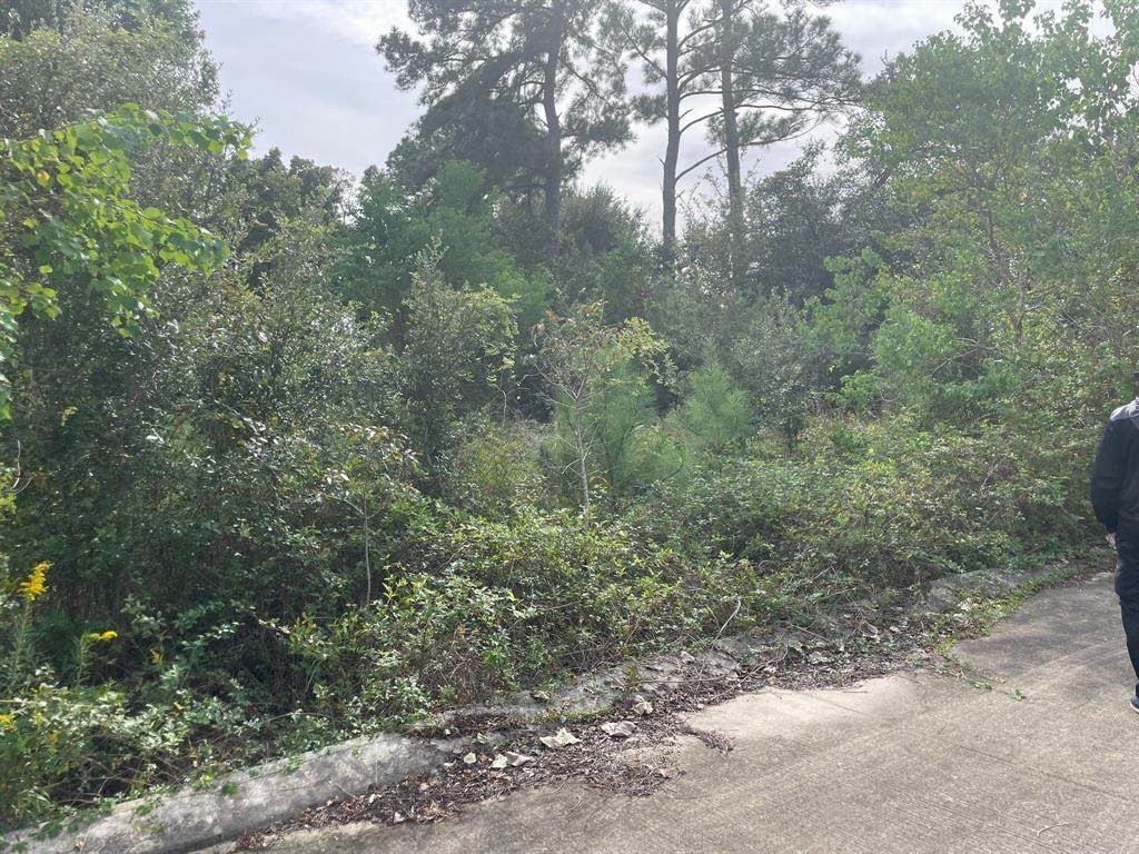 1427 Mosa Road Road - Photo 1