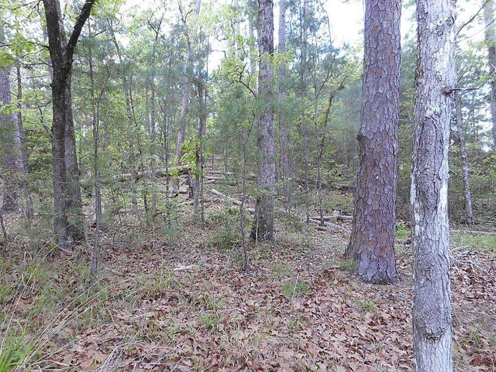 813 Little York Road - Photo 1