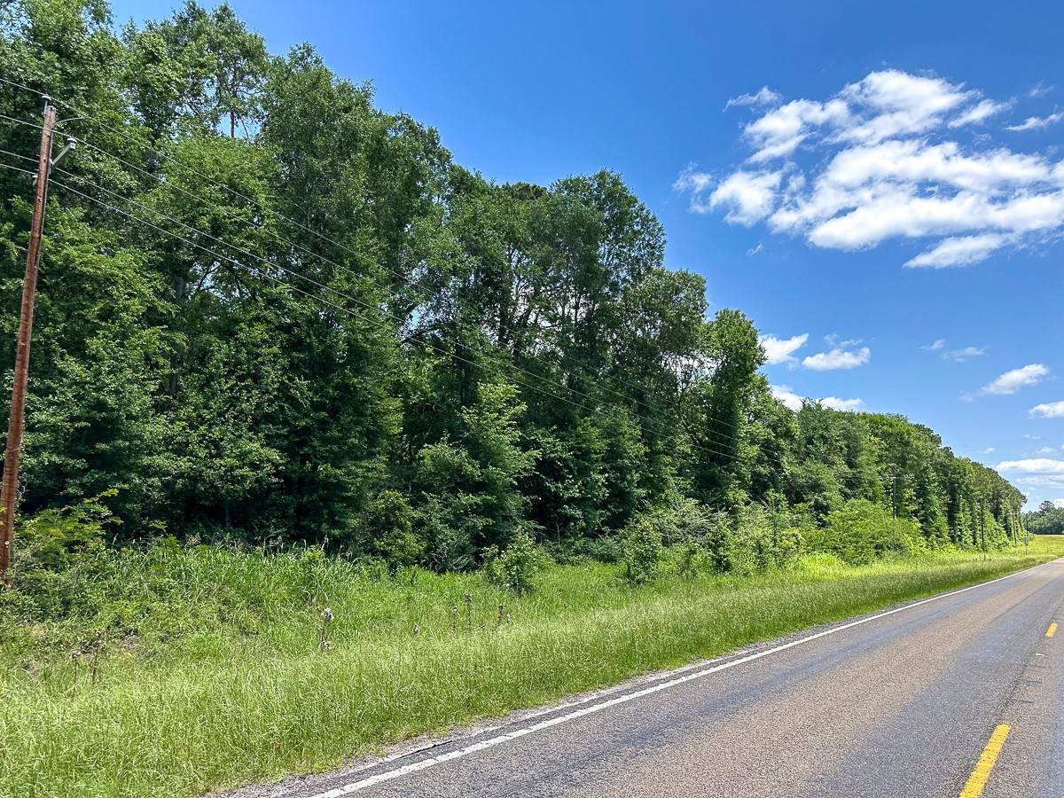 023 Highway 94 - Photo 1