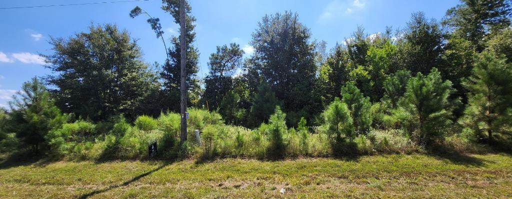 Lot 3157 County Road 3550 - Photo 1