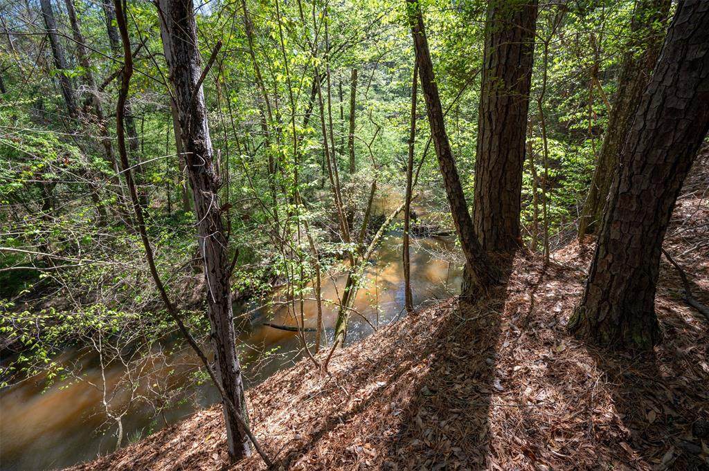 tbd County Road 138 - Photo 1