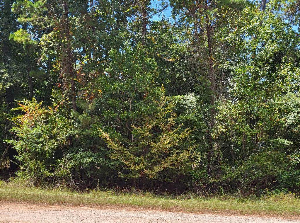 TBD Driftwood Drive - Photo 1