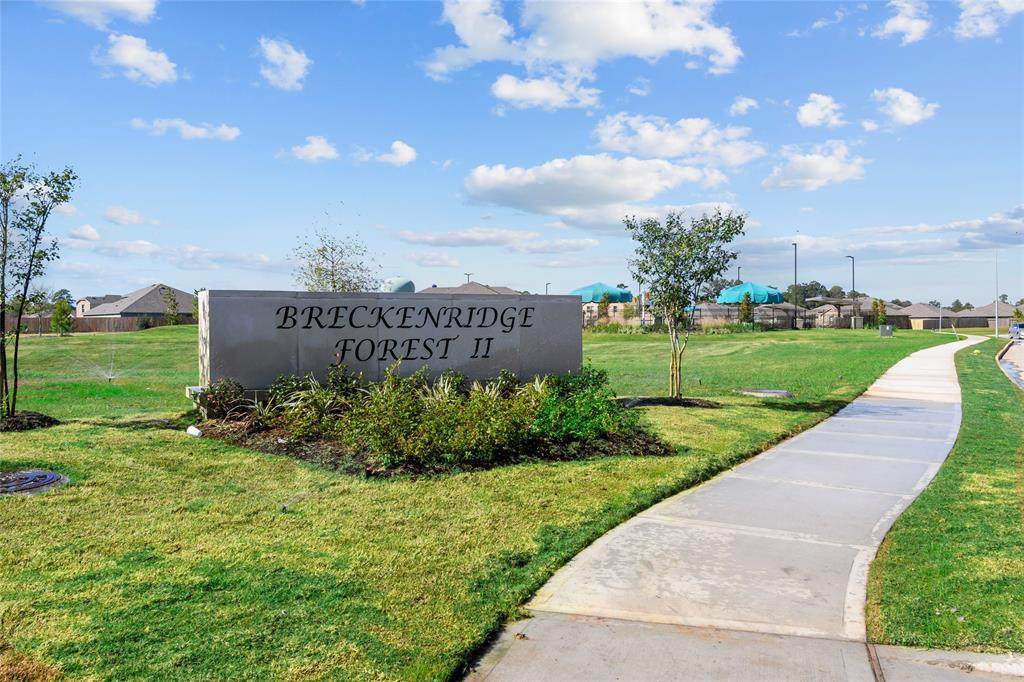 2326 Silver Plume - Photo 1