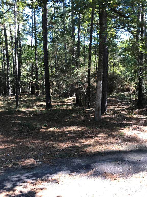 Lot 9 Deep Springs - Photo 1