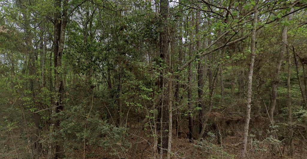 000 Travis Hill Circle - Photo 1