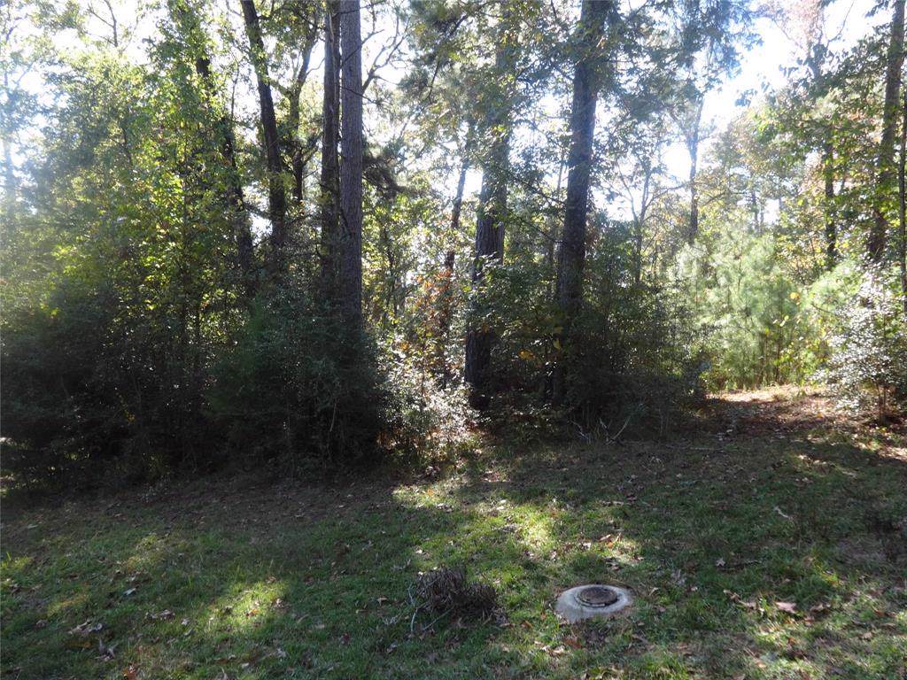 tbd Hickory Hollow Drive - Photo 1