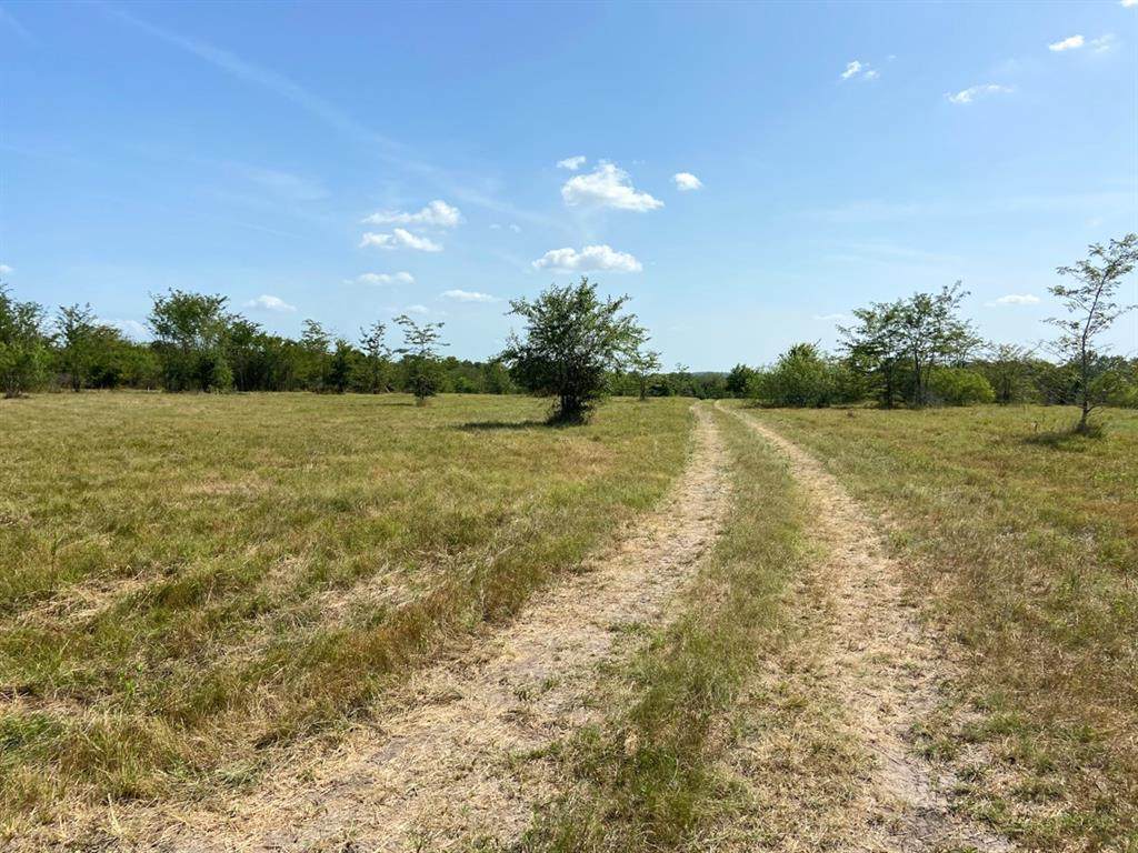 0000000 Morgan Spur - Photo 1