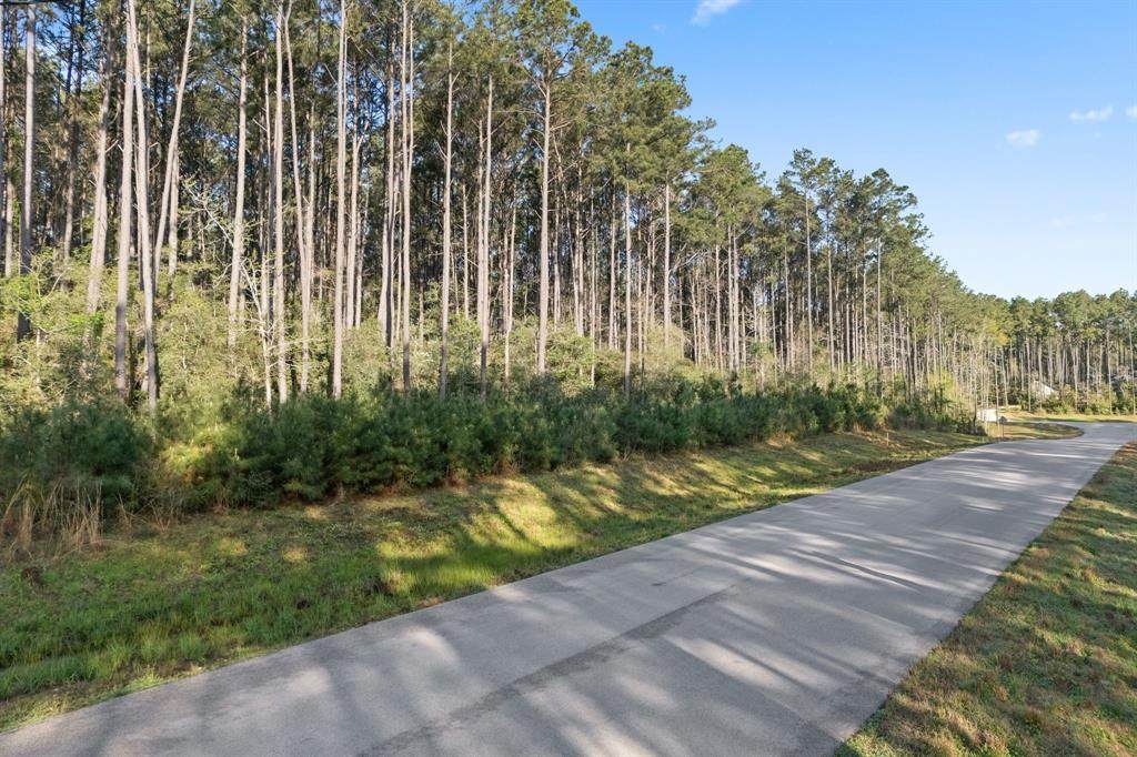 TBD Lonestar Road - Photo 1